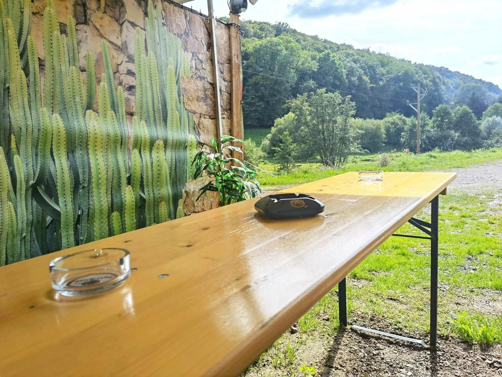 Ferienwohnung - Appartement "Painted Horse" Im Herzen Des Pfaelzer Waldes Reichenbach-Steegen Extérieur photo